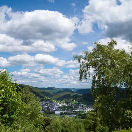 Zur Schoenen Aussicht Διαμέρισμα Willingen (Upland)